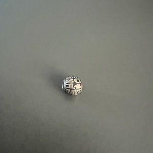 Dave Matthews tour 2014 pandora charm